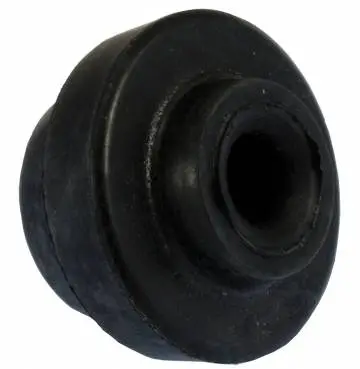 Plunger Door Holder Socket 1