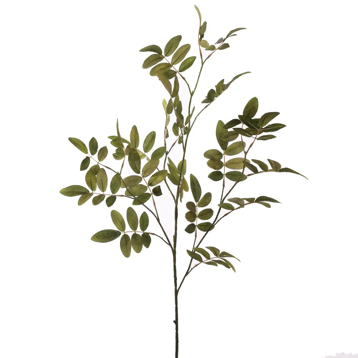 Sorbus Leaf - 76 Cm 1