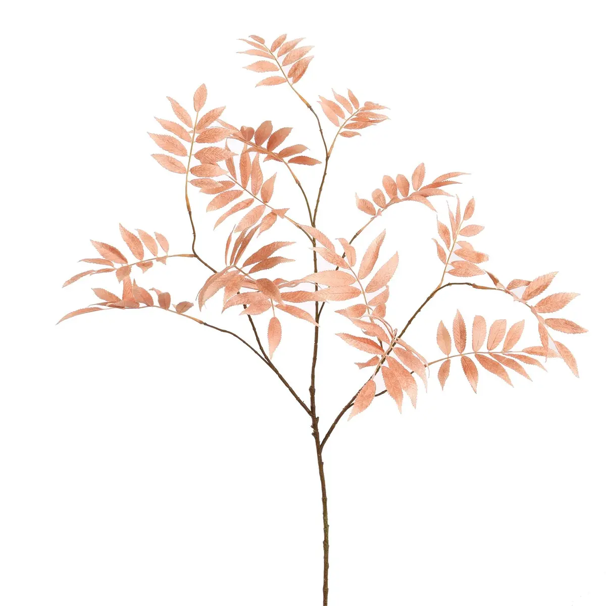 Sorbus Leaf - 109 Cm 1