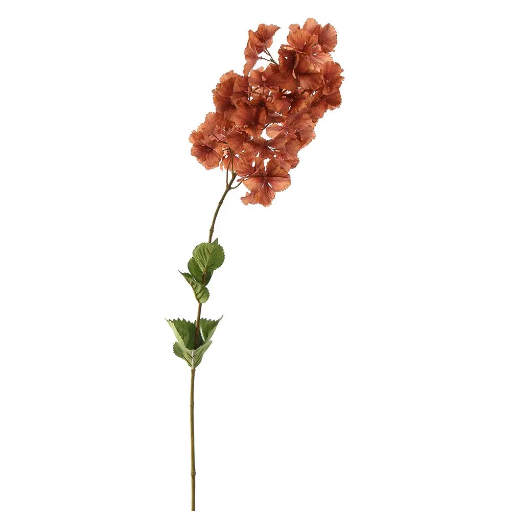 Hydrangea - 90 Cm 1