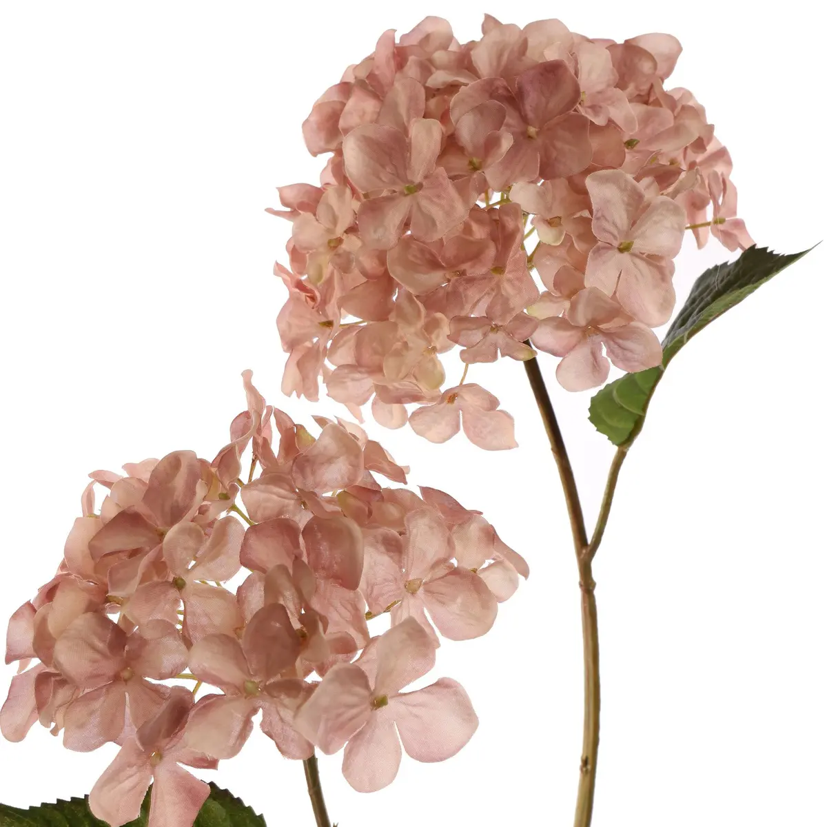 Hydrangea - 82 Cm 2