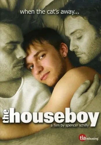 The Houseboy (Lgbtq+ Film) Dvd - Used 1