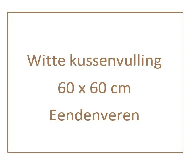 Kussenvulling 60X60cm 2