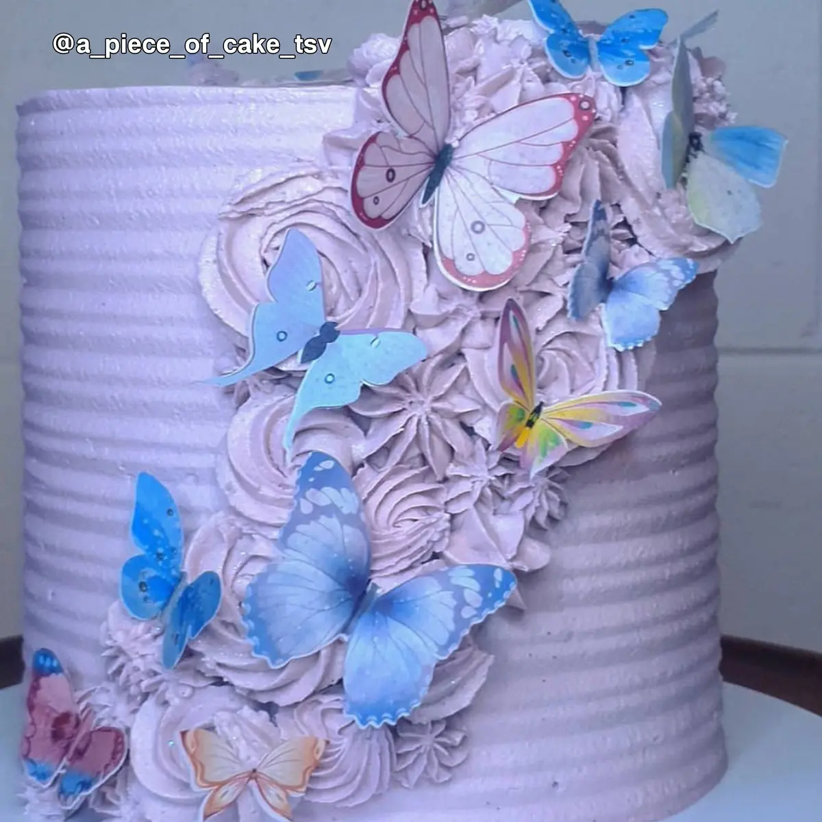 Multicoloured Pre-Cut Edible Wafer Butterflies 1