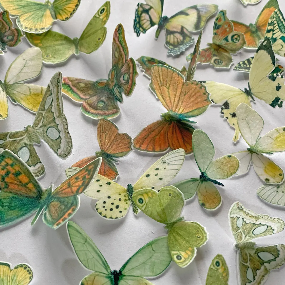 Multi-Coloured Pre-Cut Edible Wafer Butterflies 1