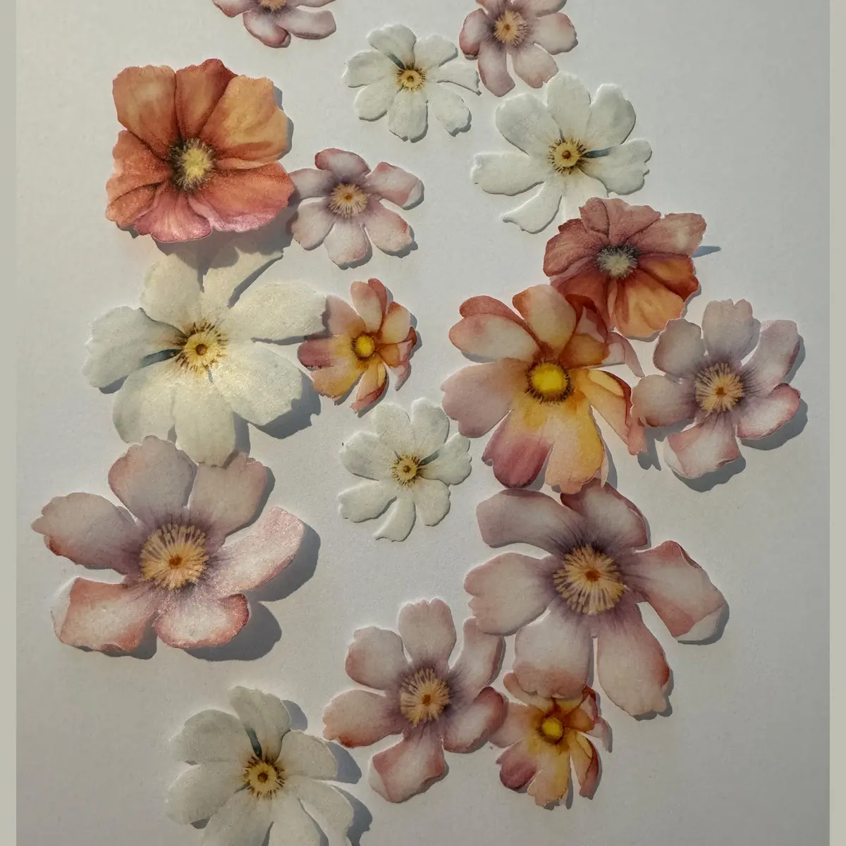 Multicoloured Pre-Cut Edible Wafer Flowers 1