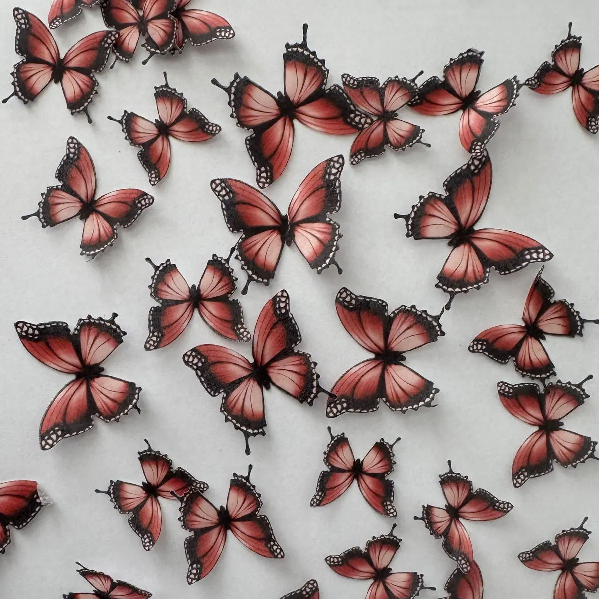 Orange & Black Pre-Cut Edible Wafer Butterflies 1