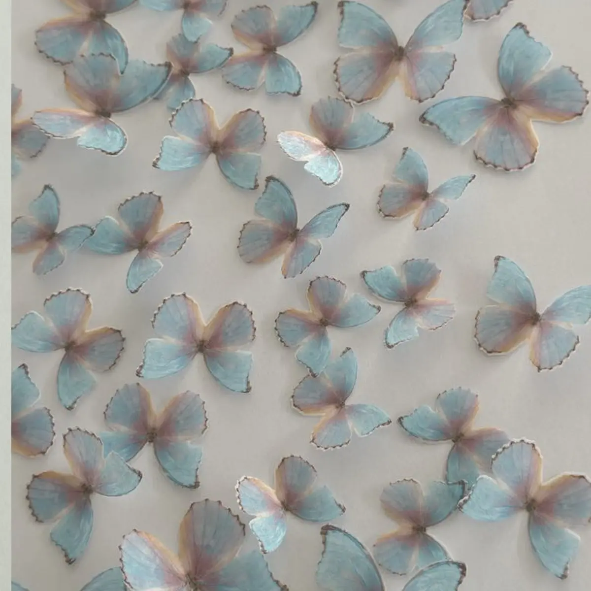 Pink & Blue Pre-Cut Edible Wafer Butterflies 1