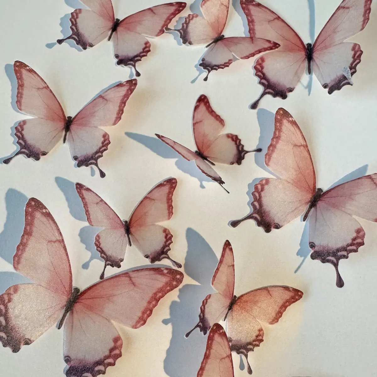 Light Red Pre-Cut Edible Wafer Butterflies 1