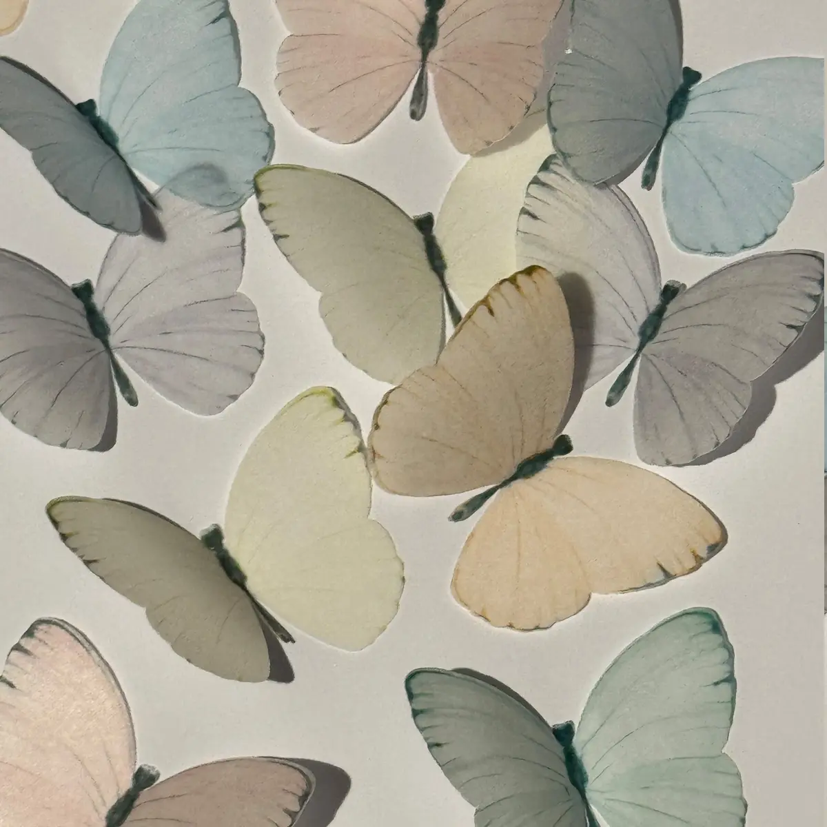 Multi-Coloured Pre-Cut Edible Wafer Butterflies 1