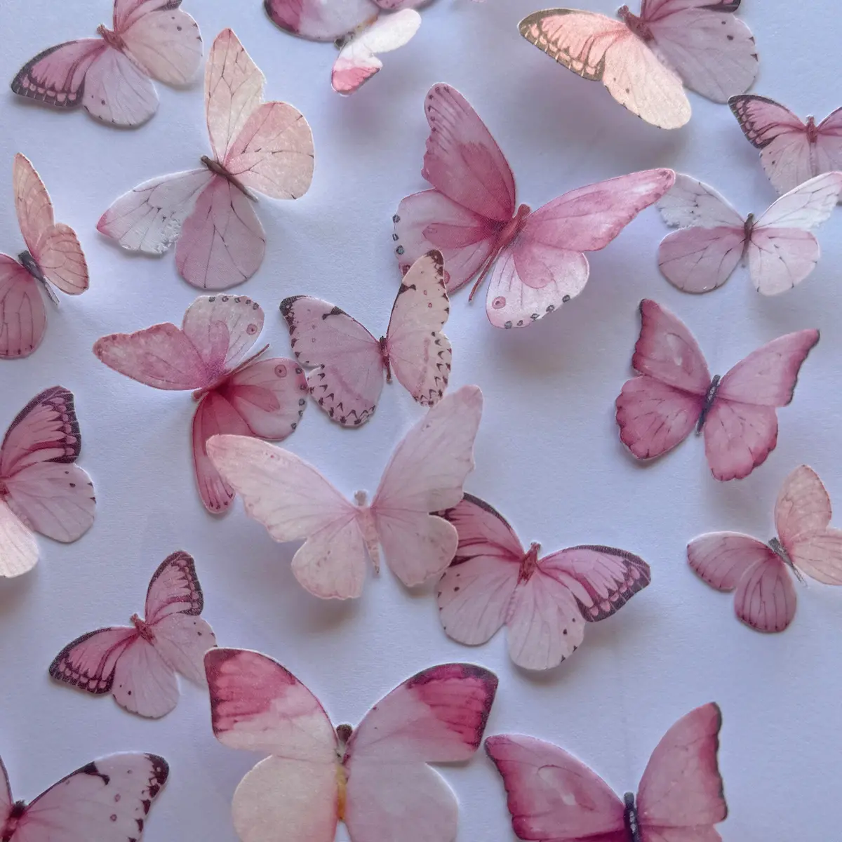 Pink Pre-Cut Edible Wafer Butterflies 1