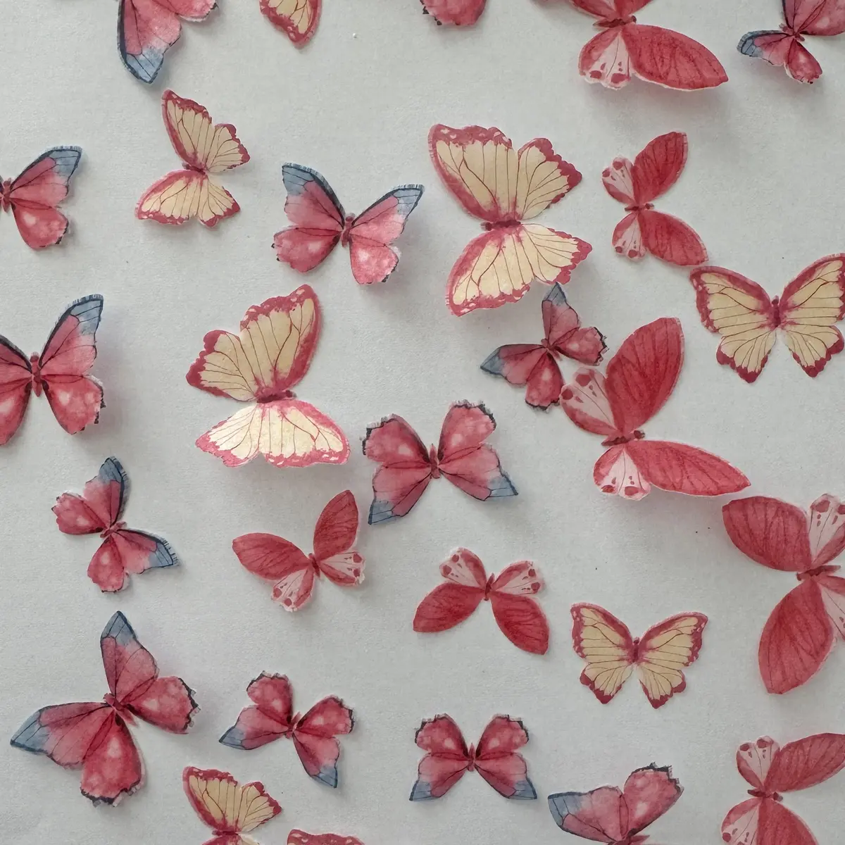 Pink Yellow & Blue Pre-Cut Edible Wafer Butterflies 1