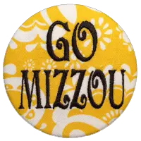 Black & Gold Tigers - Yellow Paisley 1