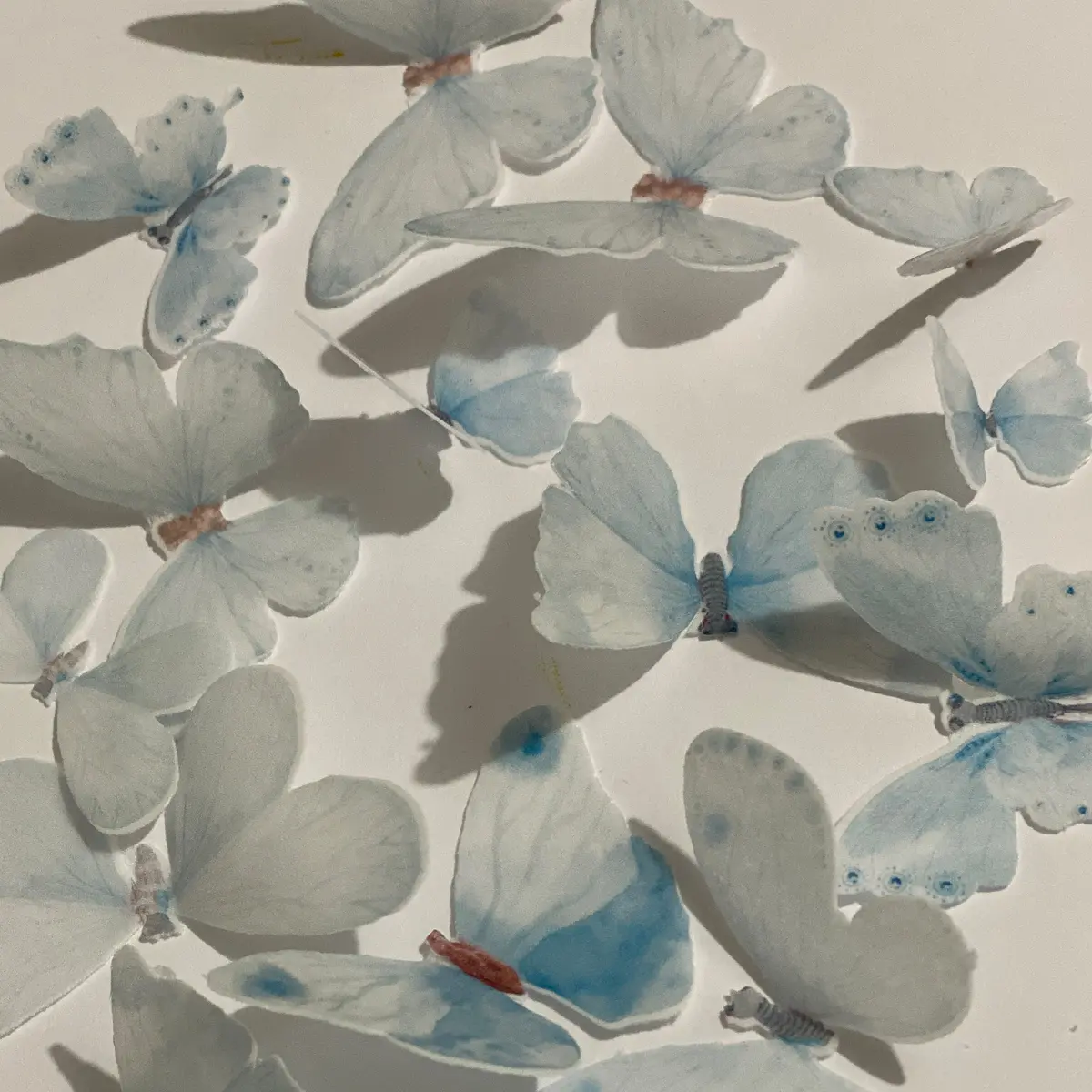 Light Blue Pre-Cut Edible Wafer Butterflies 1