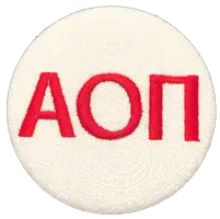 Alpha Omicron Pi - Paisley 1