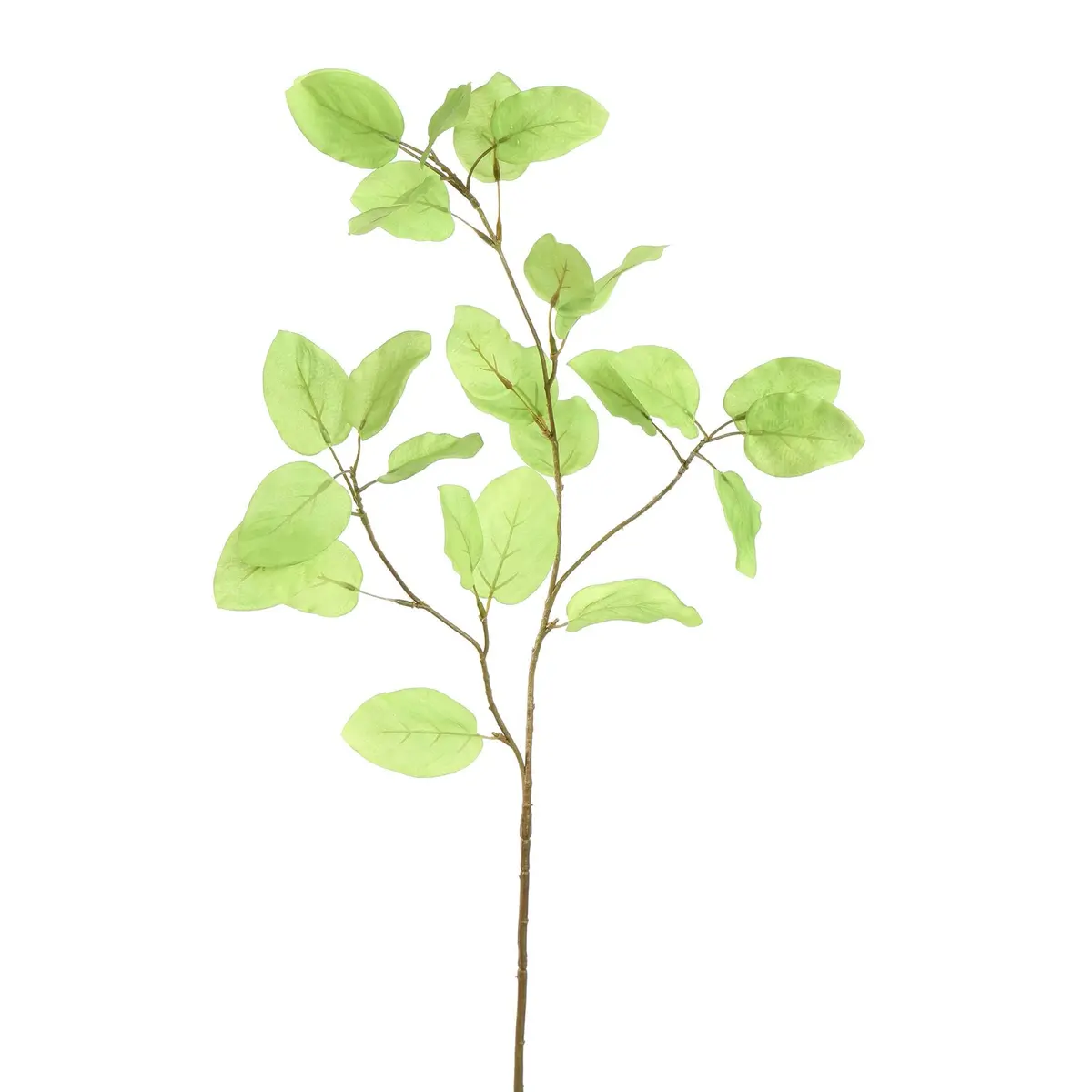 Beech Leaf 95 Cm Green 1