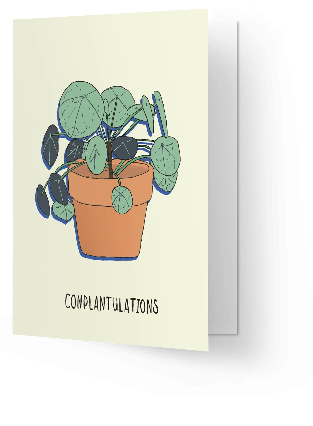 Conplantulations 1