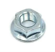 Brake Mounting Flange Lock Nut 1