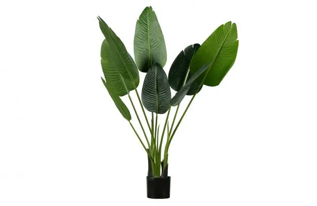 Strelitzia Kunstplant - Smal 1
