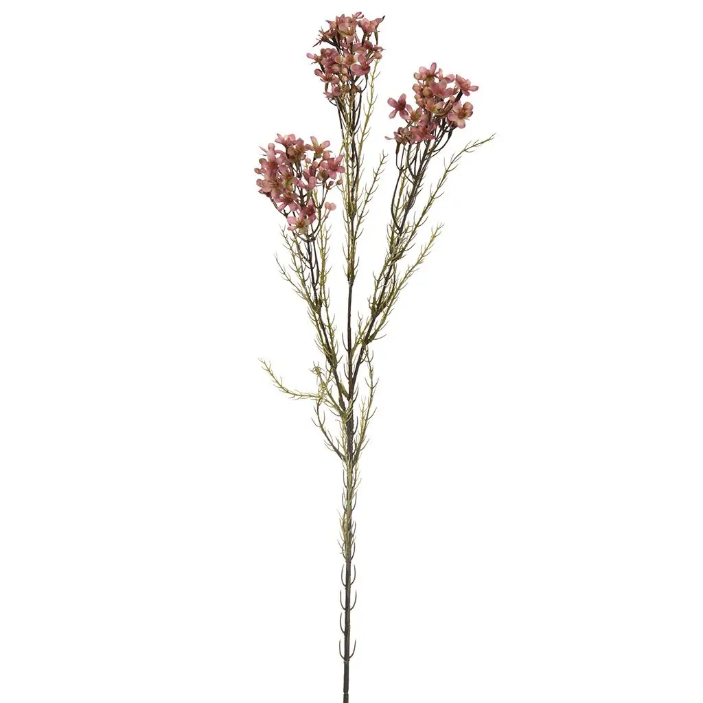 Wax Flower 78Cm Pink 1