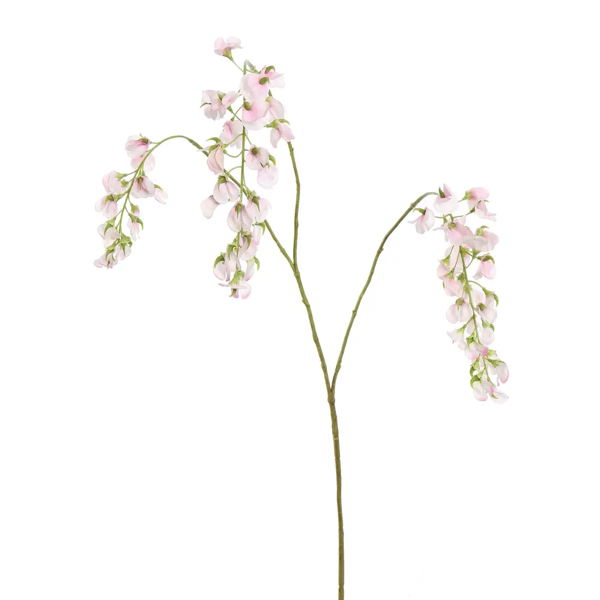 Wisteria 104 Cm Pink 1