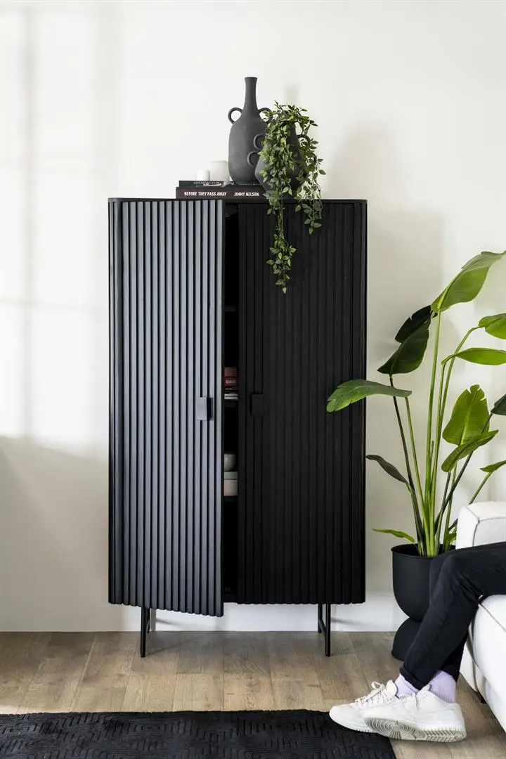 Kabinet Remi 2-Drs - Zwart 1